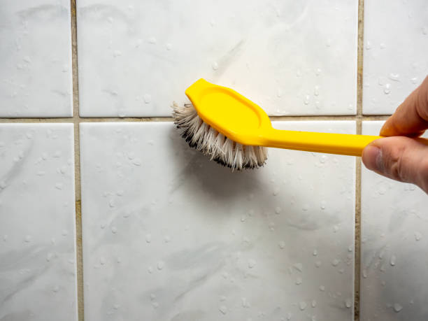 Best Toxic Mold Removal  in New Market, MD