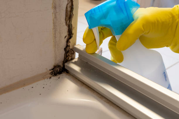 Best Residential Mold Removal  in New Market, MD