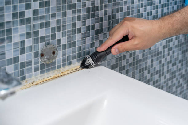 Best Fast Mold Removal  in New Market, MD